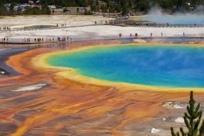 people on beach shore during daytime