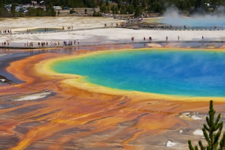people on beach shore during daytime