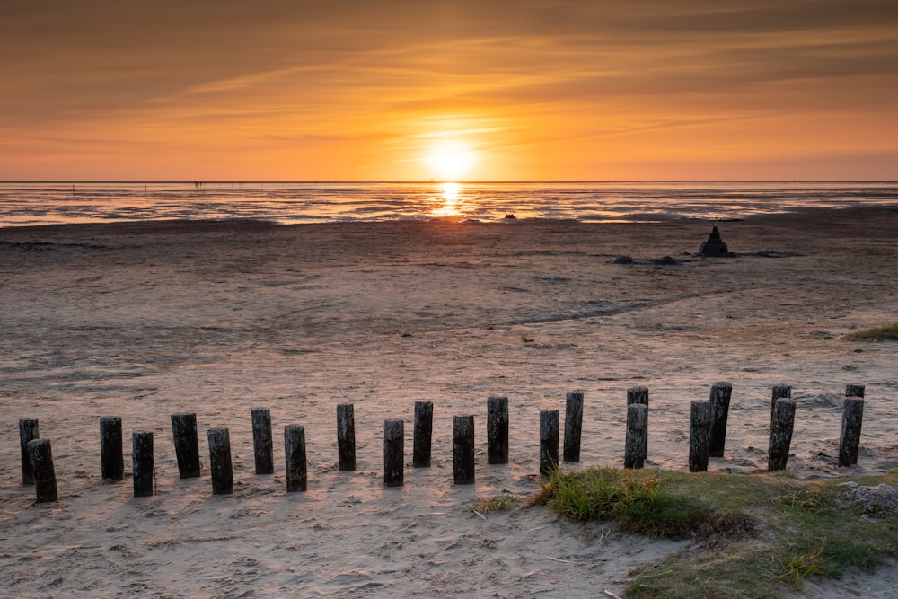 brown wooden poles on beach during sunset