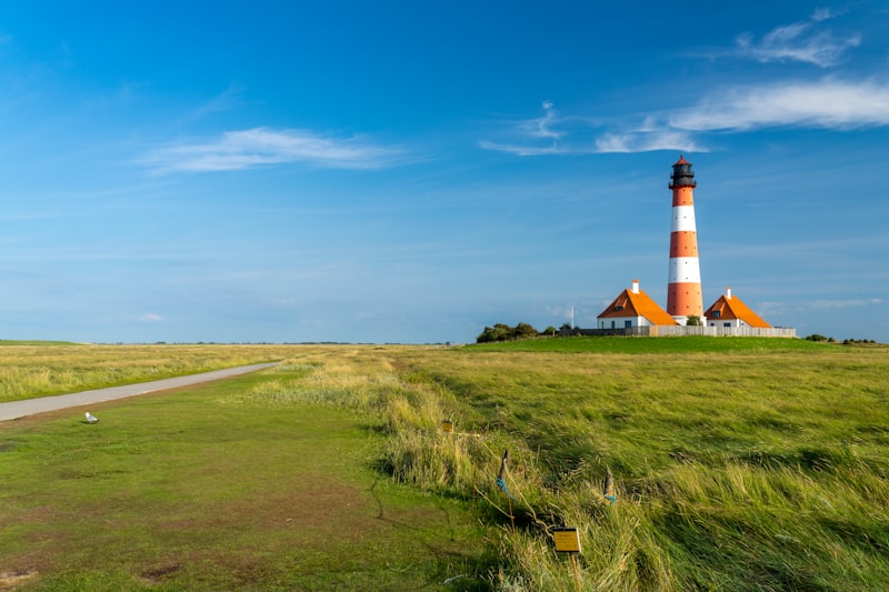 Urlaub mit Hund an der Nordsee