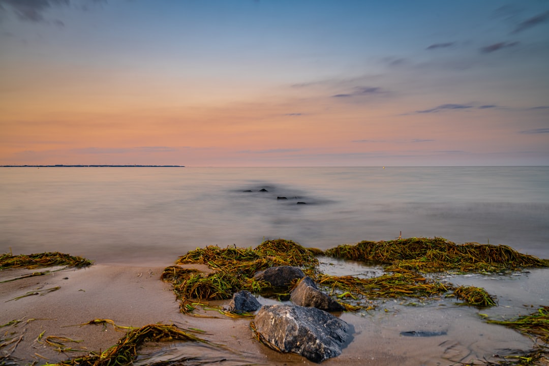 gray rock on body of water during daytime