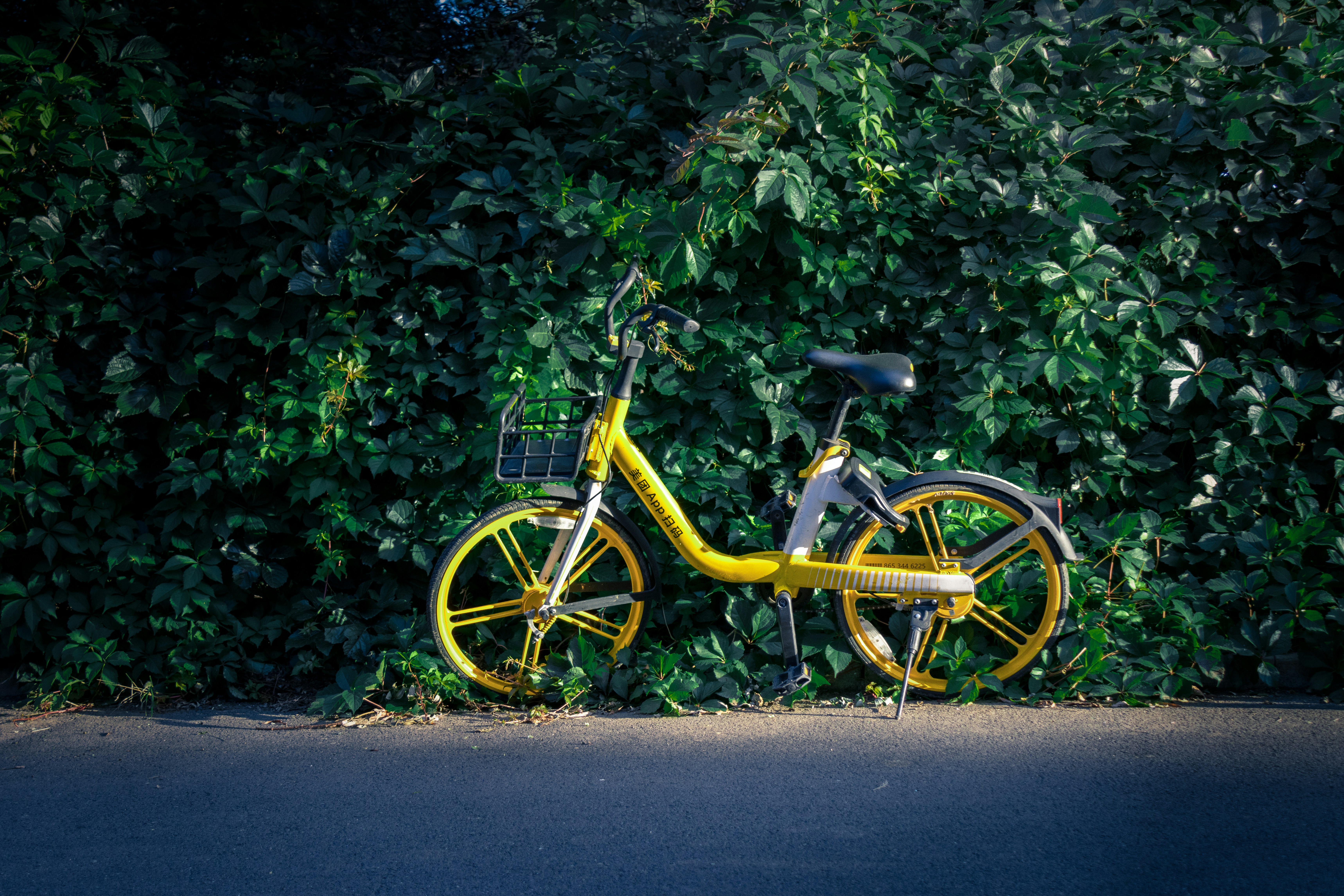 Photo by juliuscarmine