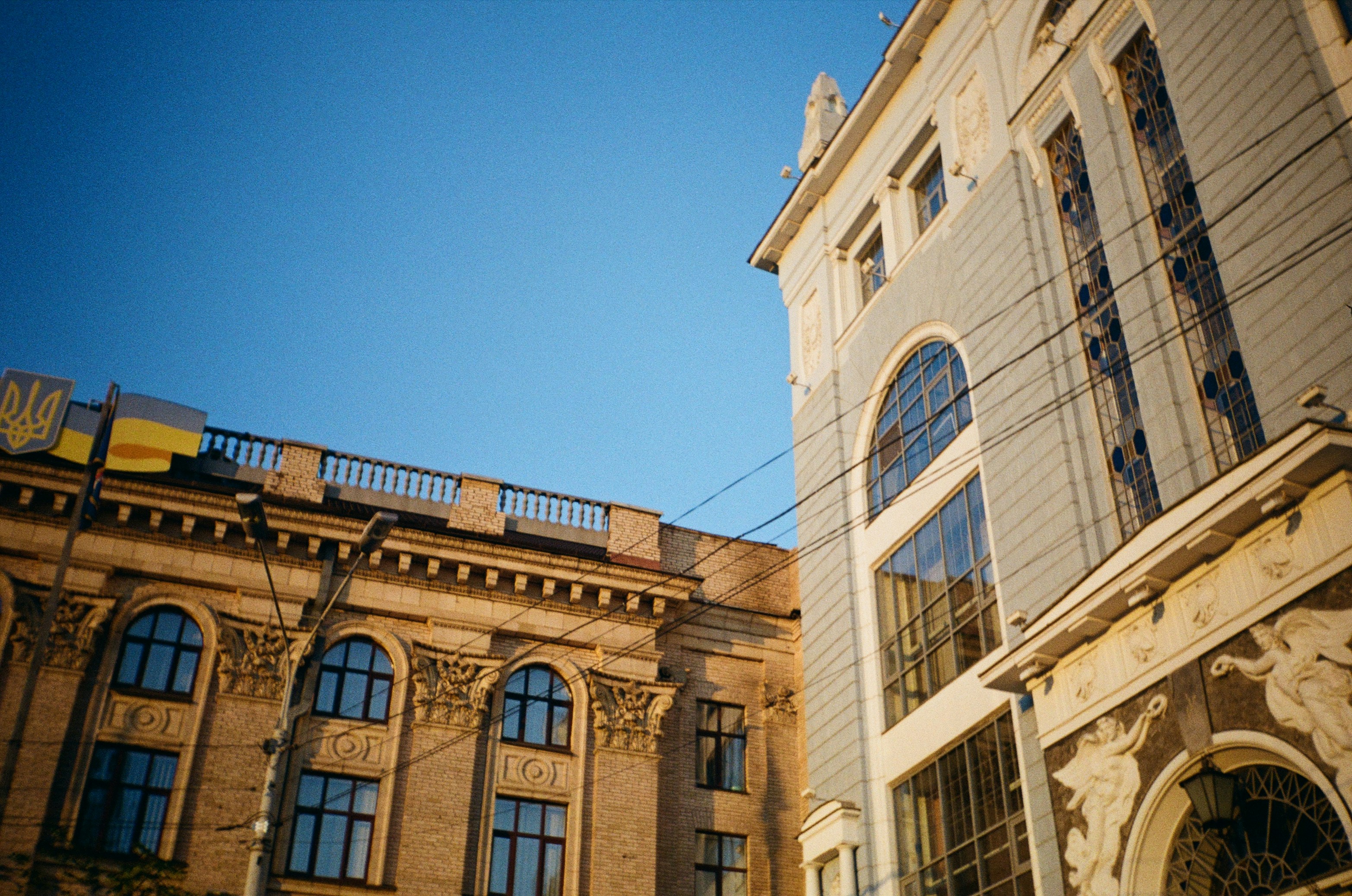 Photo by yanamelnichenko