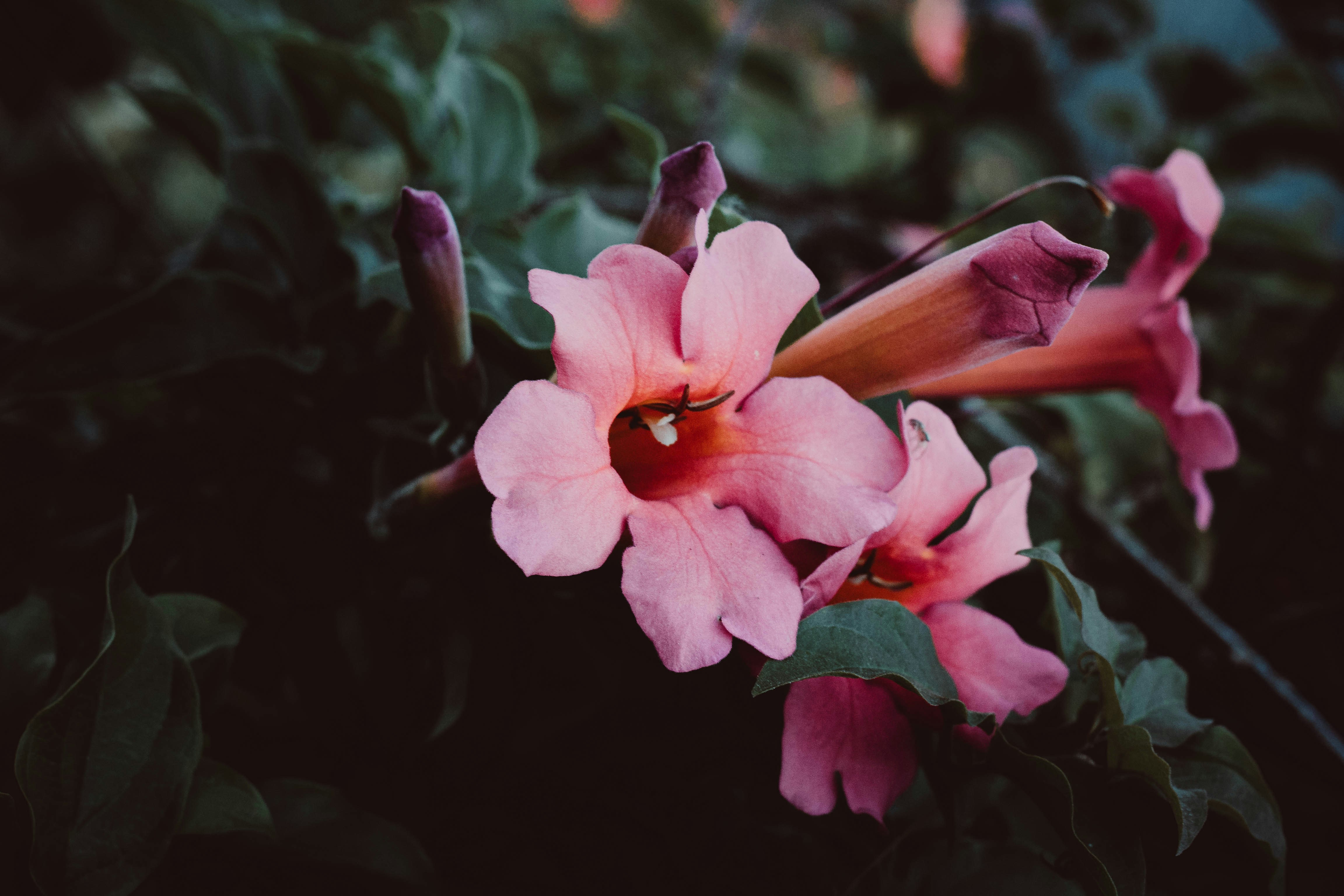 Photo by benjamin_artwok