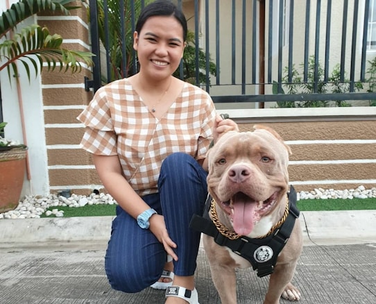 A person is kneeling next to a large, muscular dog wearing a harness and a gold chain. Both appear to be outdoors in a residential area, with a fence and greenery visible in the background. The person is smiling and has their hand on the dog's shoulder.