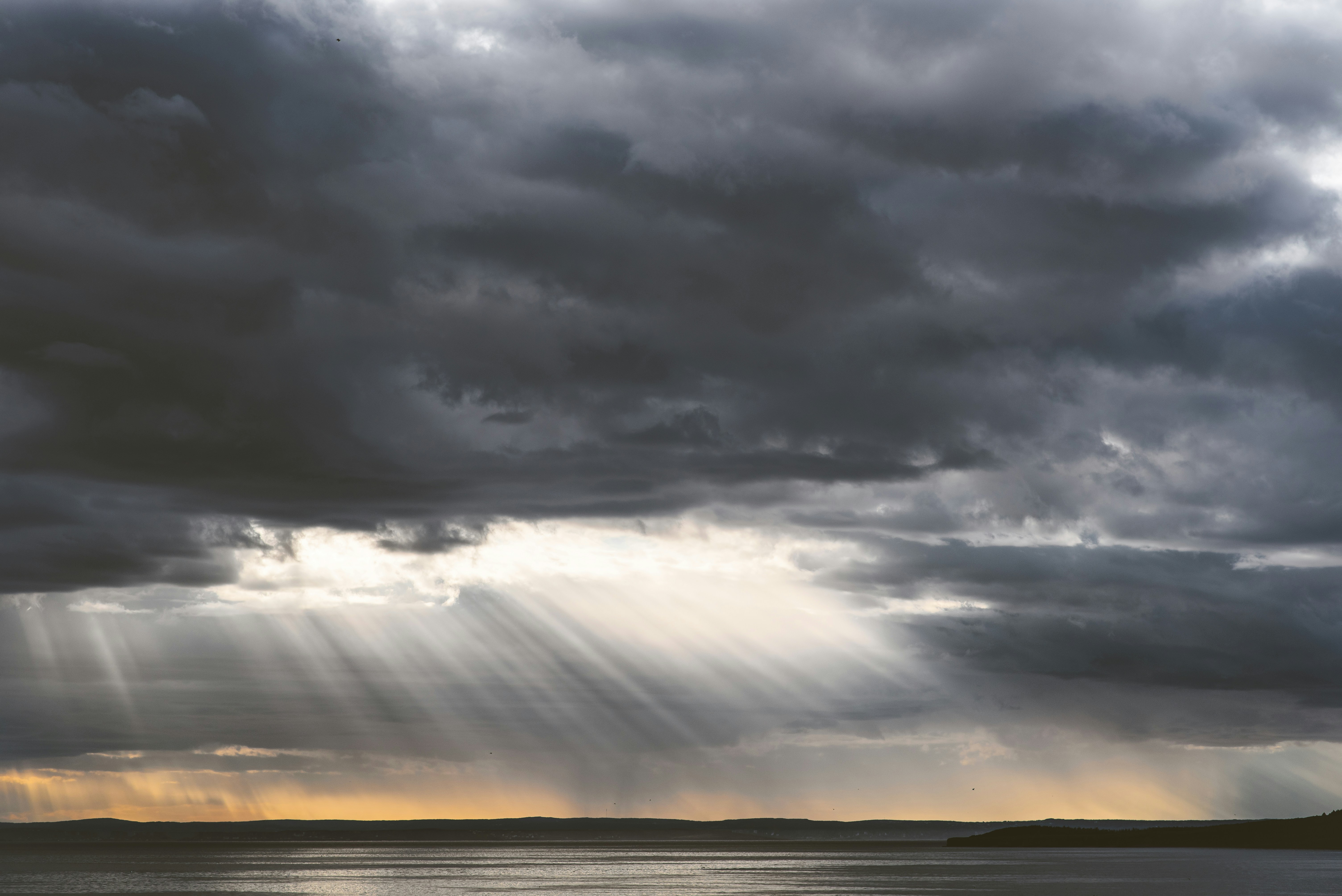 Photo by porkbellysteve