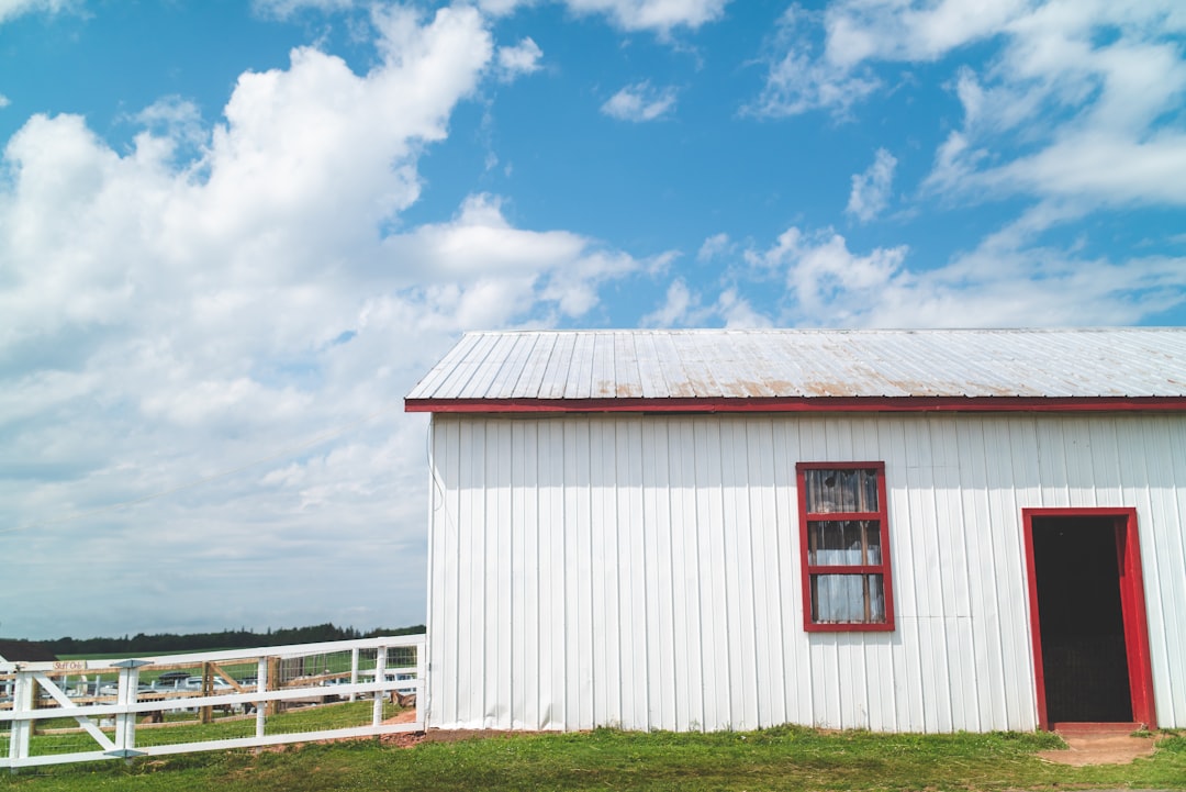 white and red wooden house under blue sky during daytime