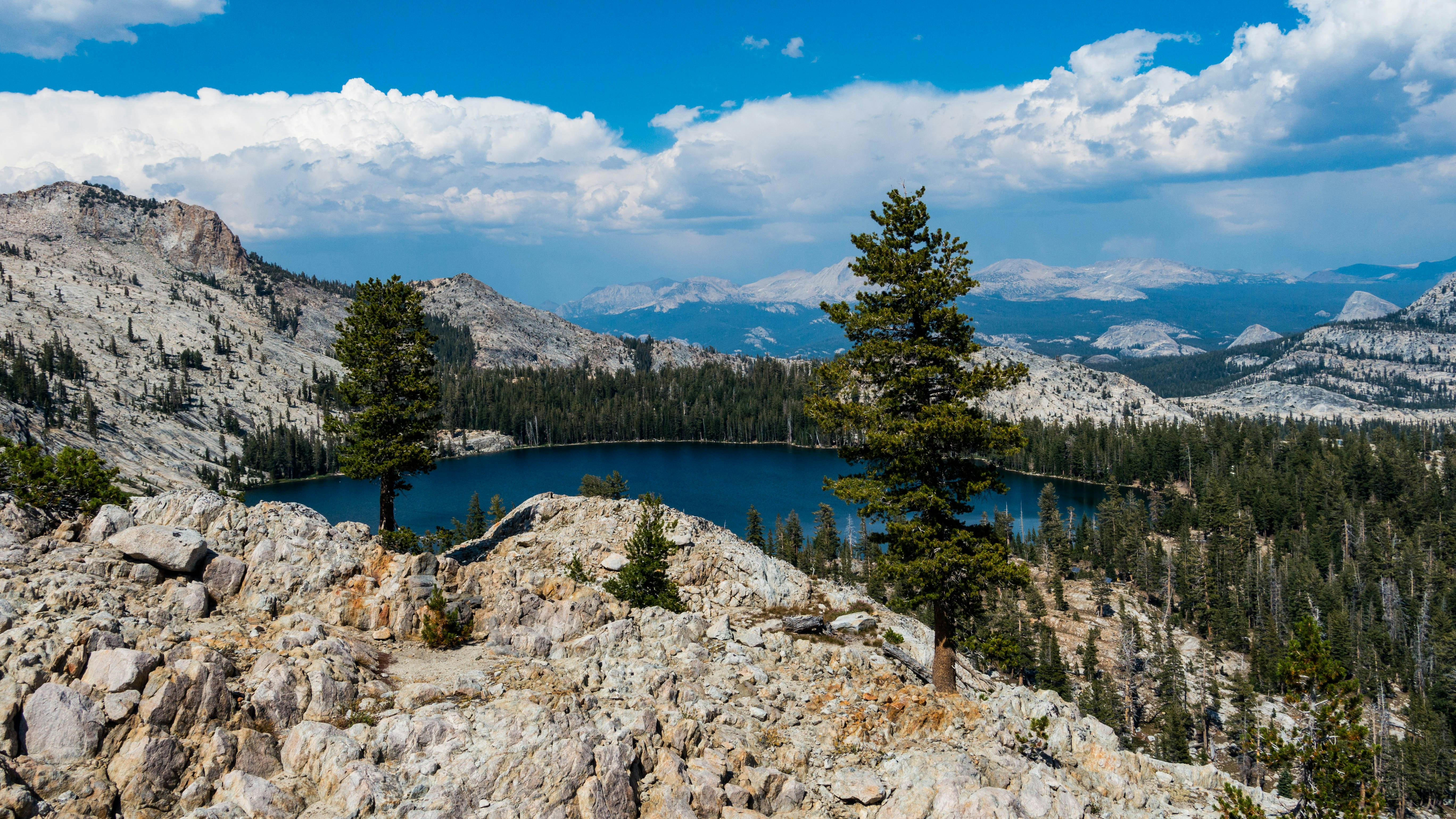 Photo by jeannicolas