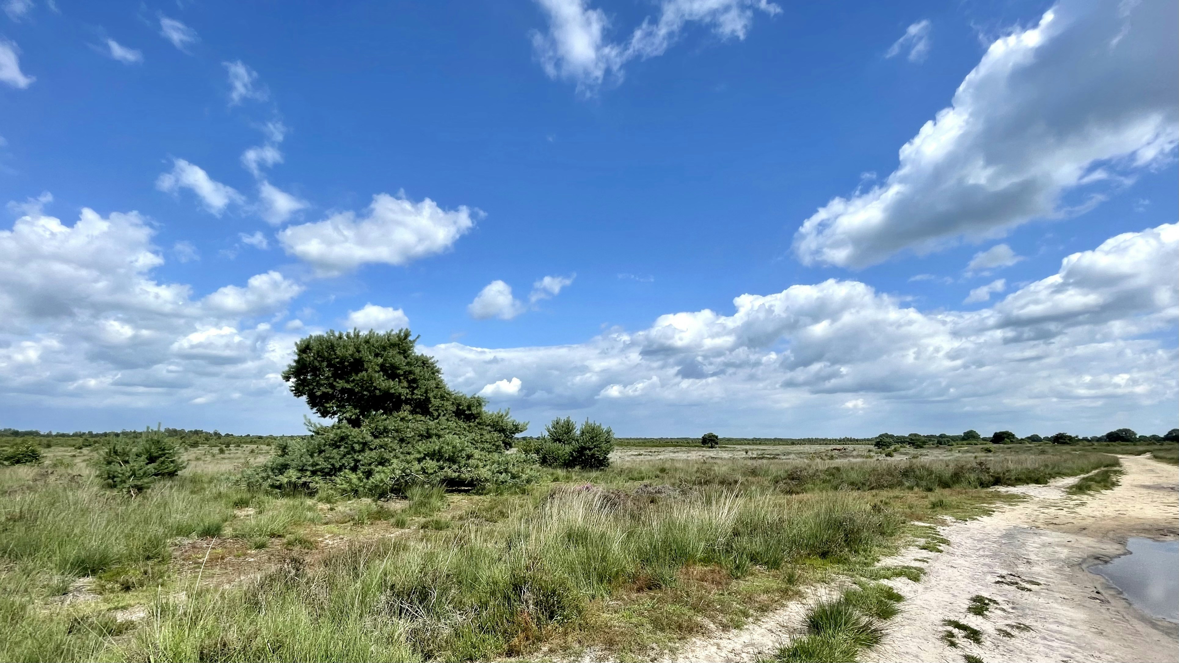 Photo by roycoendersphotography