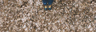 A pair of boots standing on the ground, symbolizing hands-on land assistance.