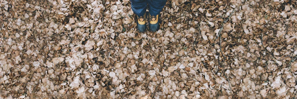 A pair of boots standing on the ground, symbolizing hands-on land assistance.