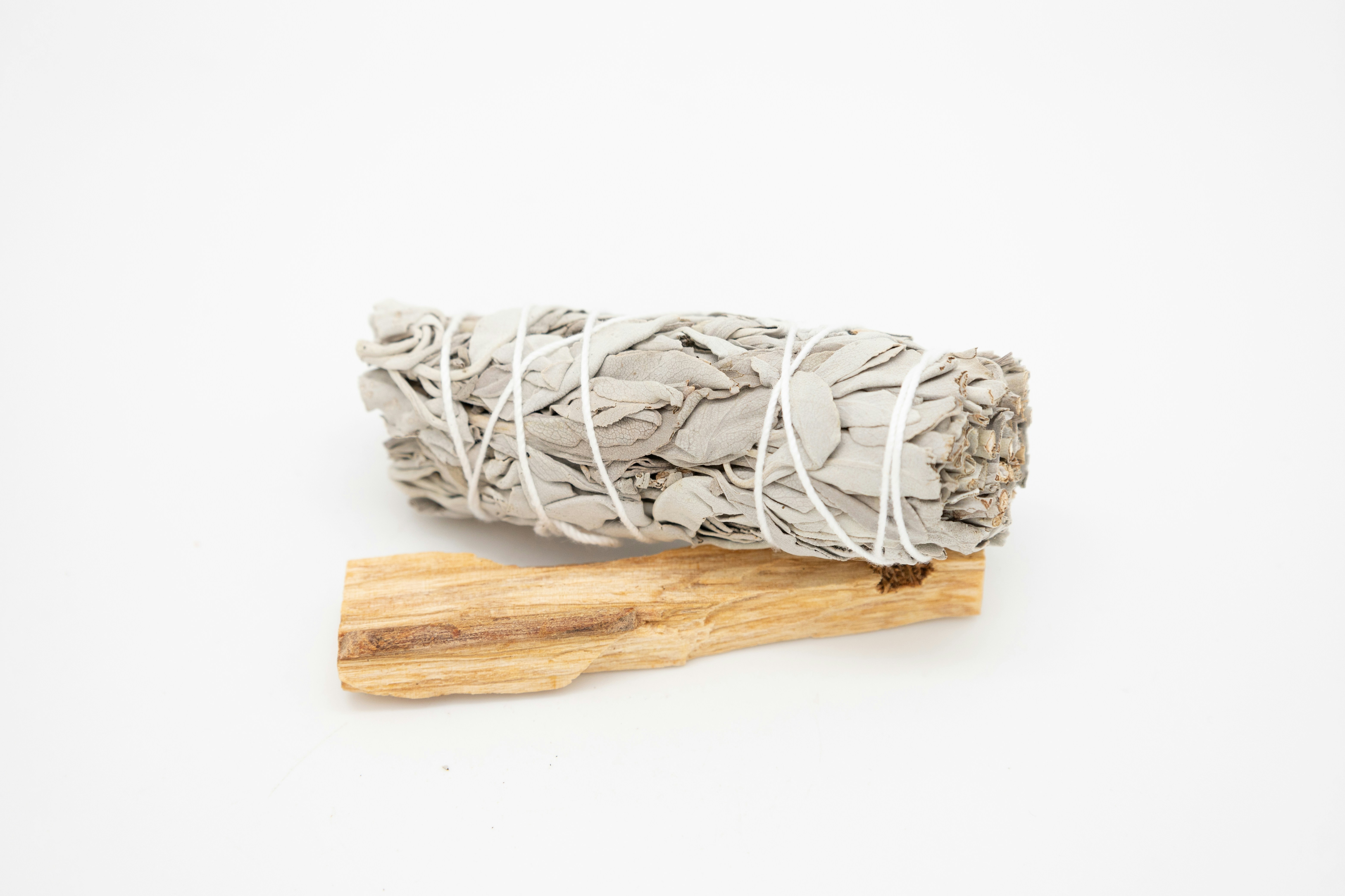 Photo by reneekiffin