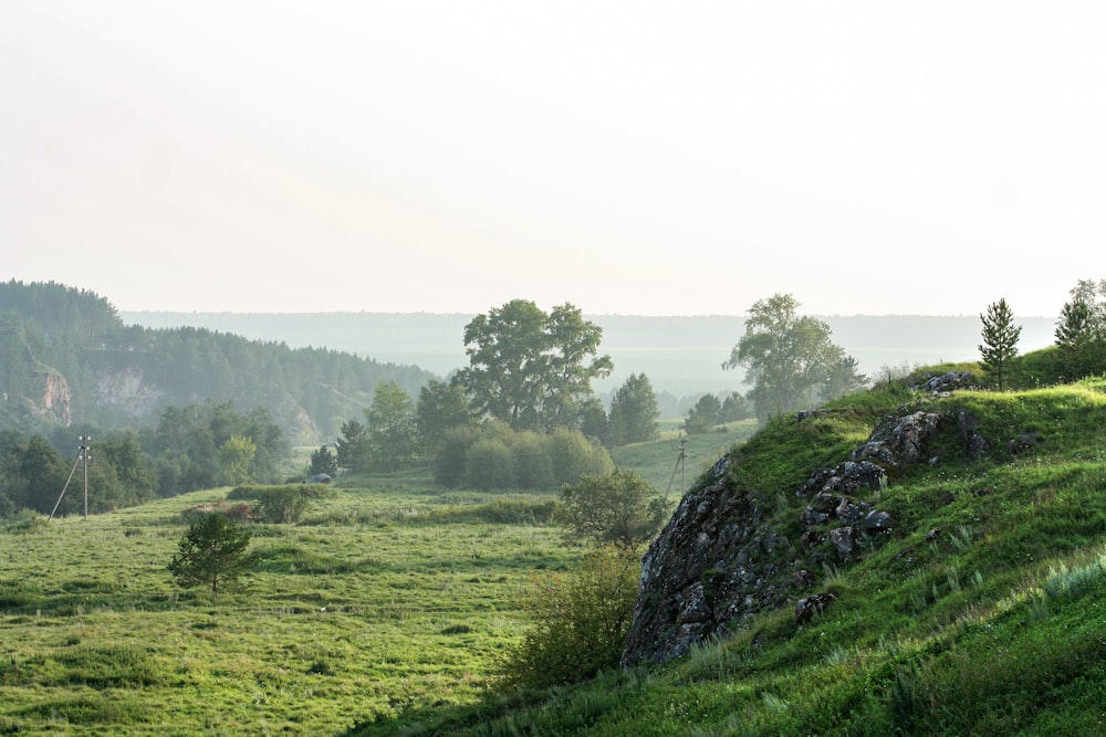 green grass field with trees during daytime