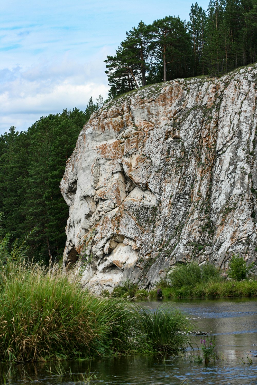 gray rock formation near green trees during daytime