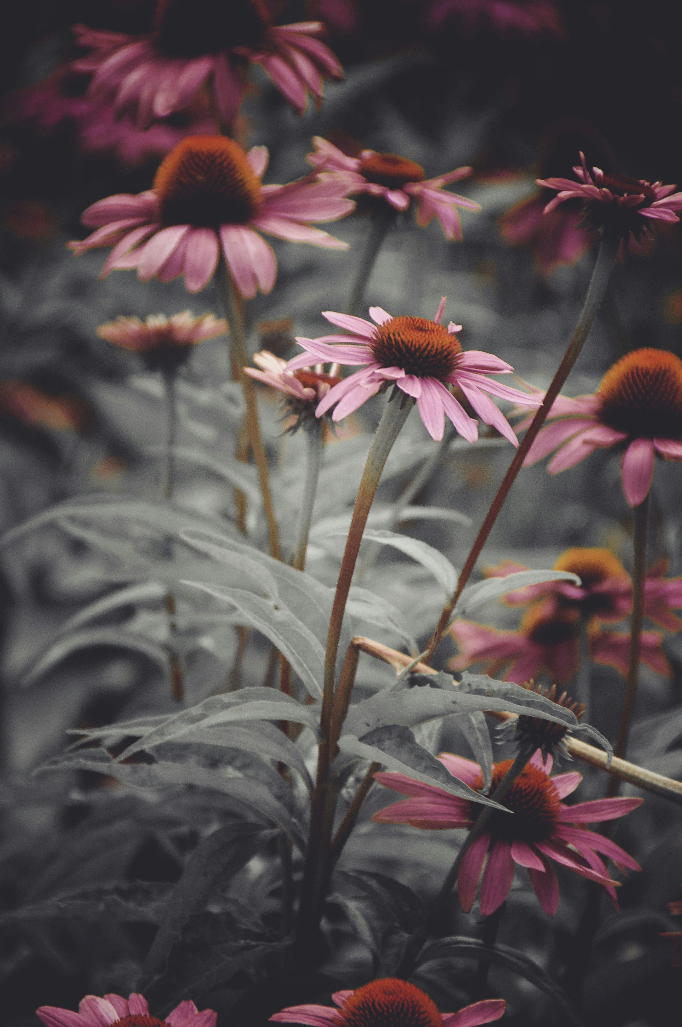 Photo by momentsbyebba