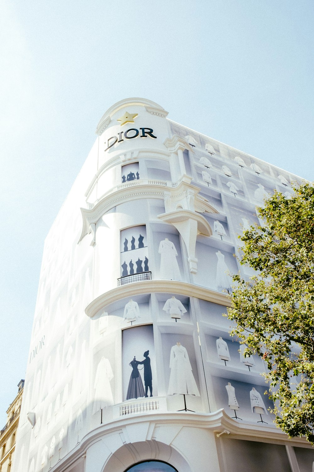 edificio in cemento bianco con albero verde di fronte