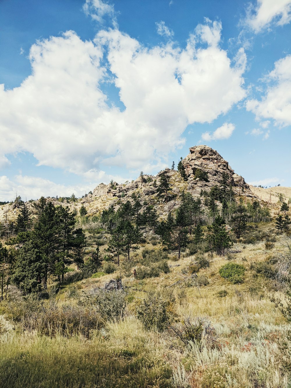 green trees on brown mountain under white clouds and blue sky during daytime