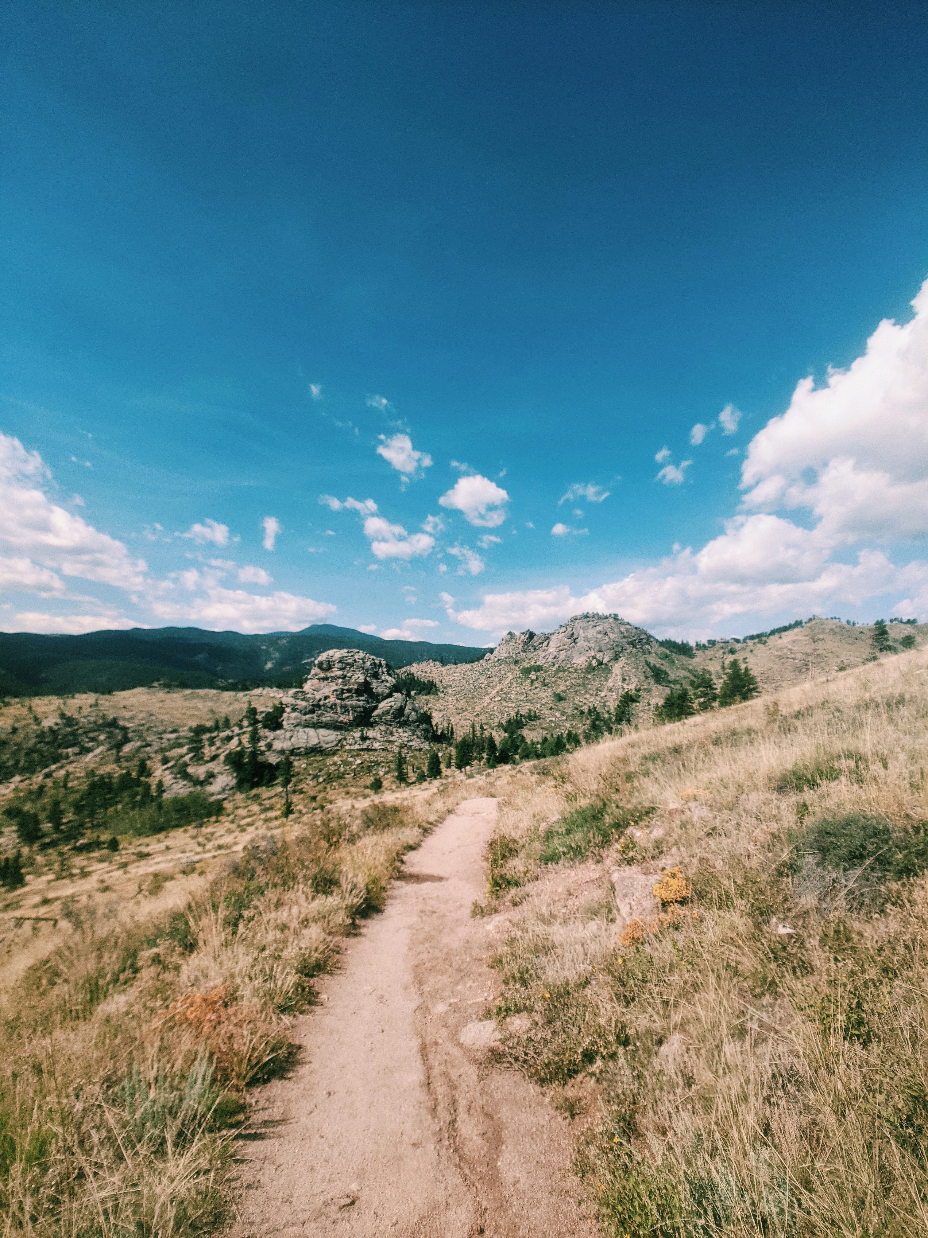green grass field under blue sky during daytime