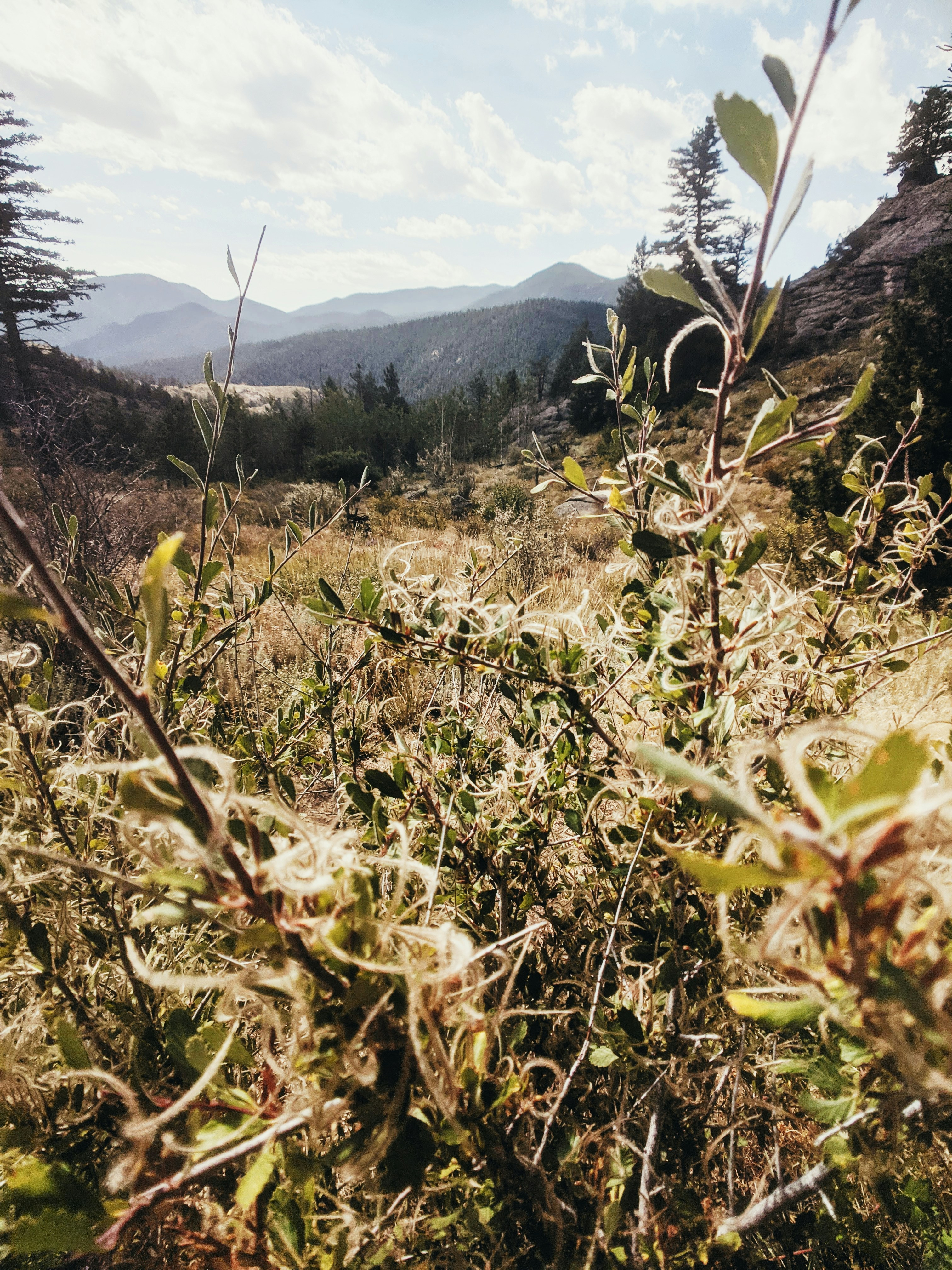 Photo by andrewwolff