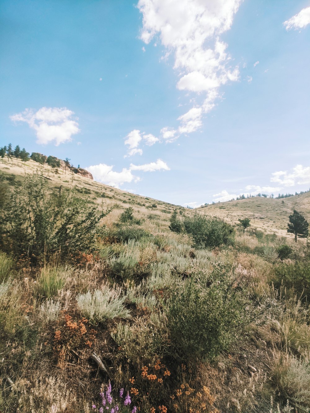 green grass on brown mountain under blue sky during daytime