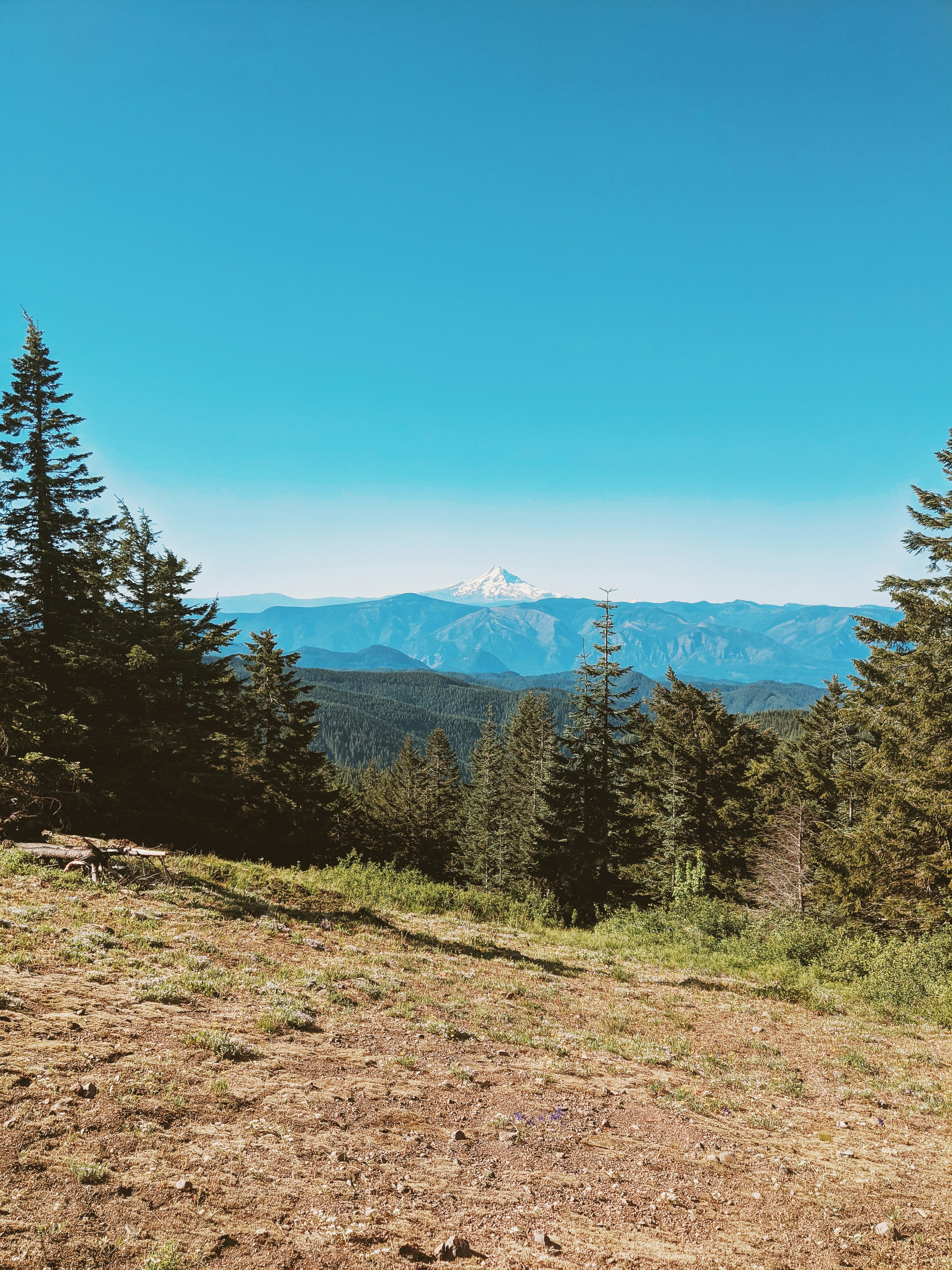 Photo by andrewwolff