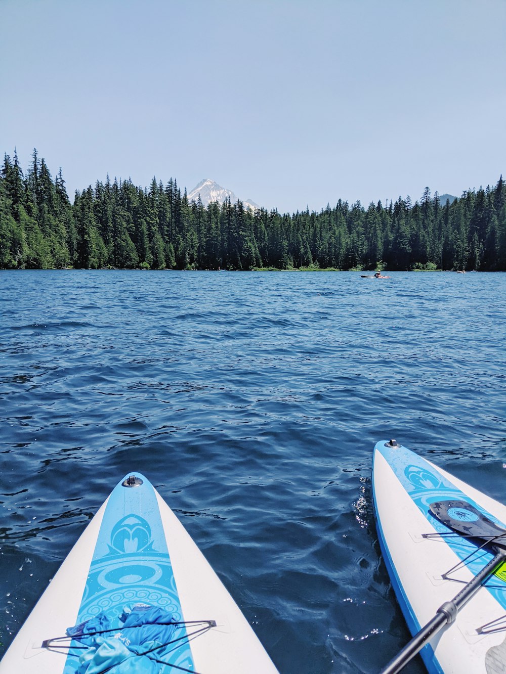 blue and white kayak on sea during daytime