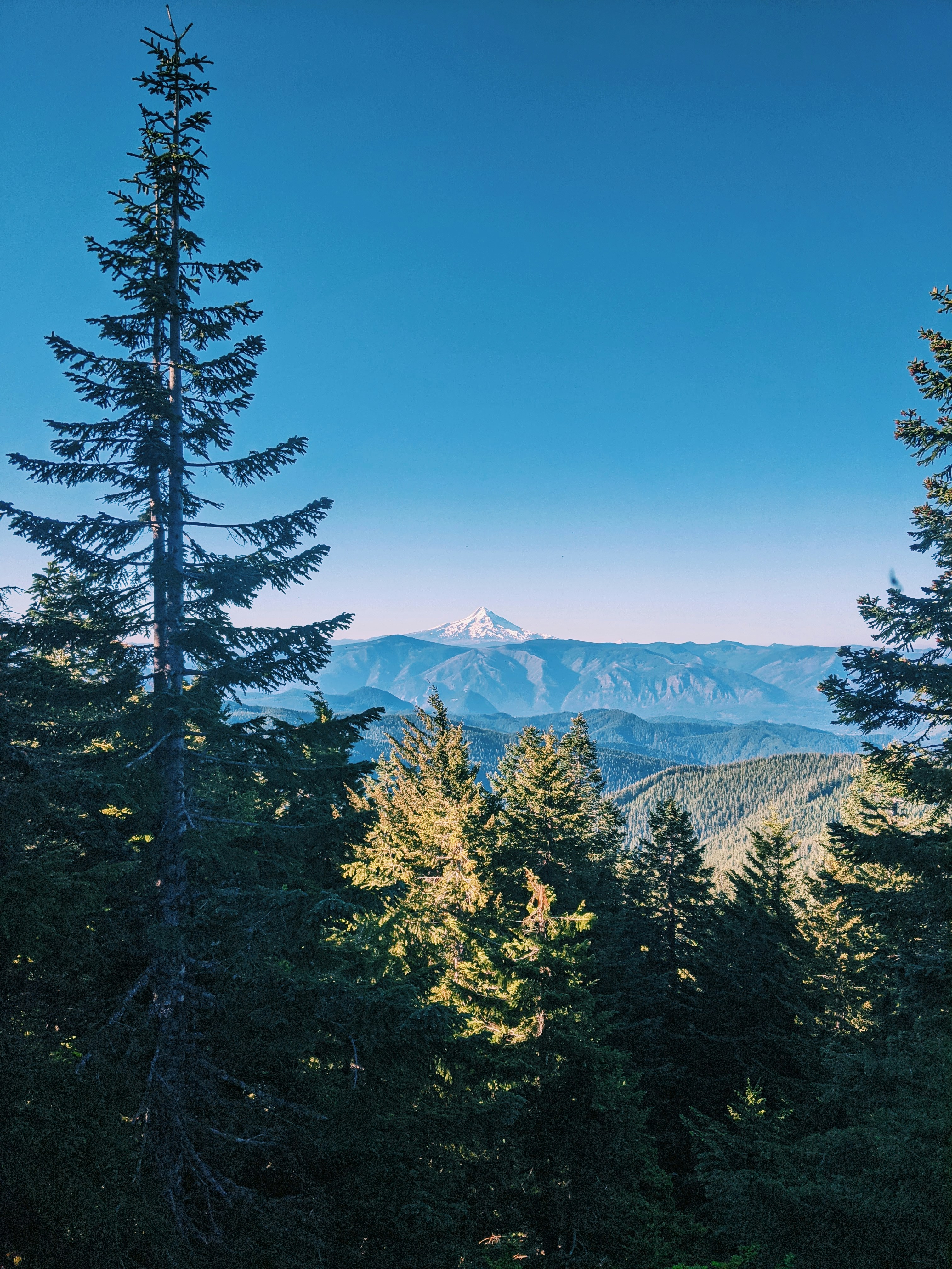 Photo by andrewwolff