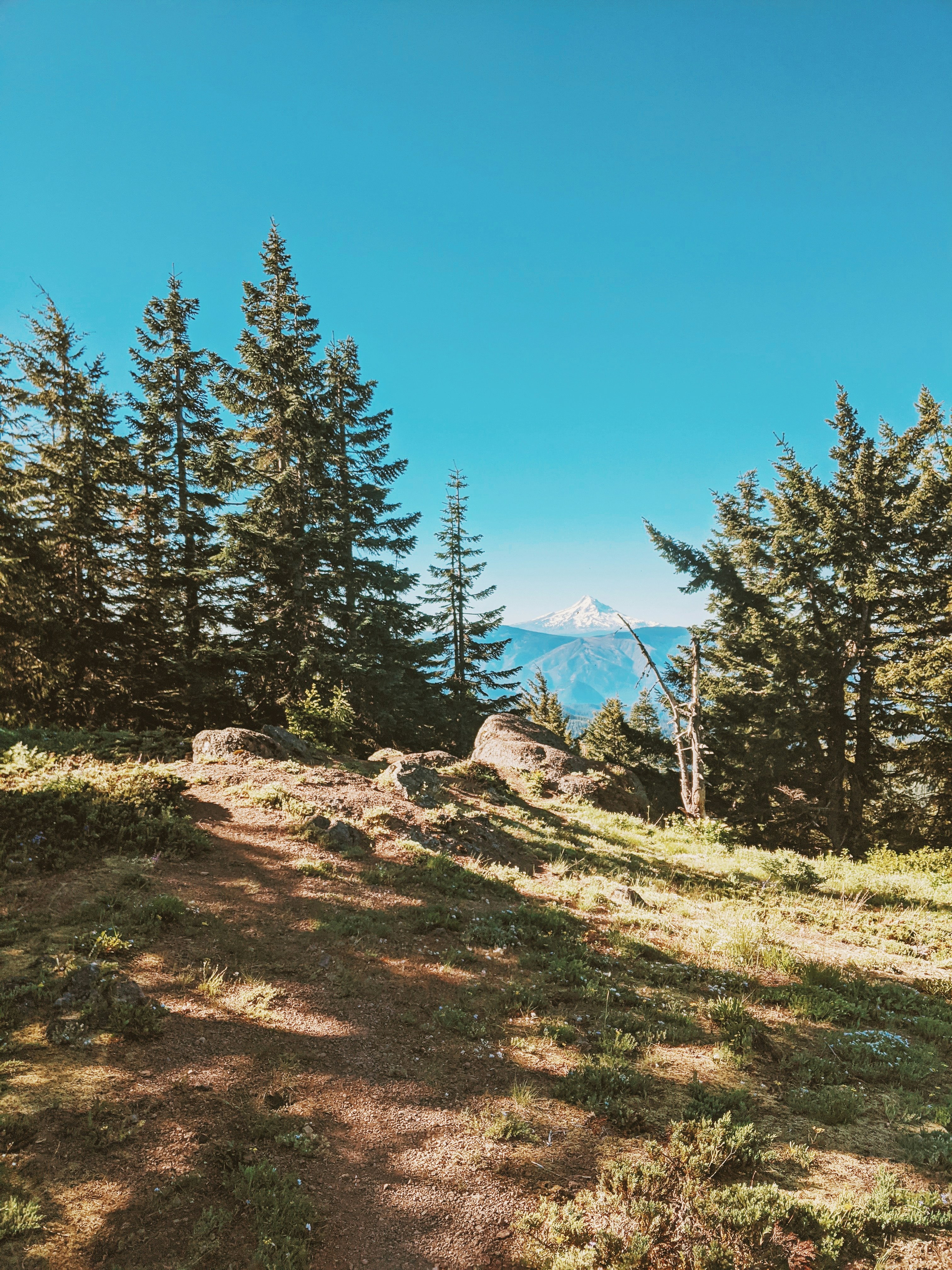 Photo by andrewwolff