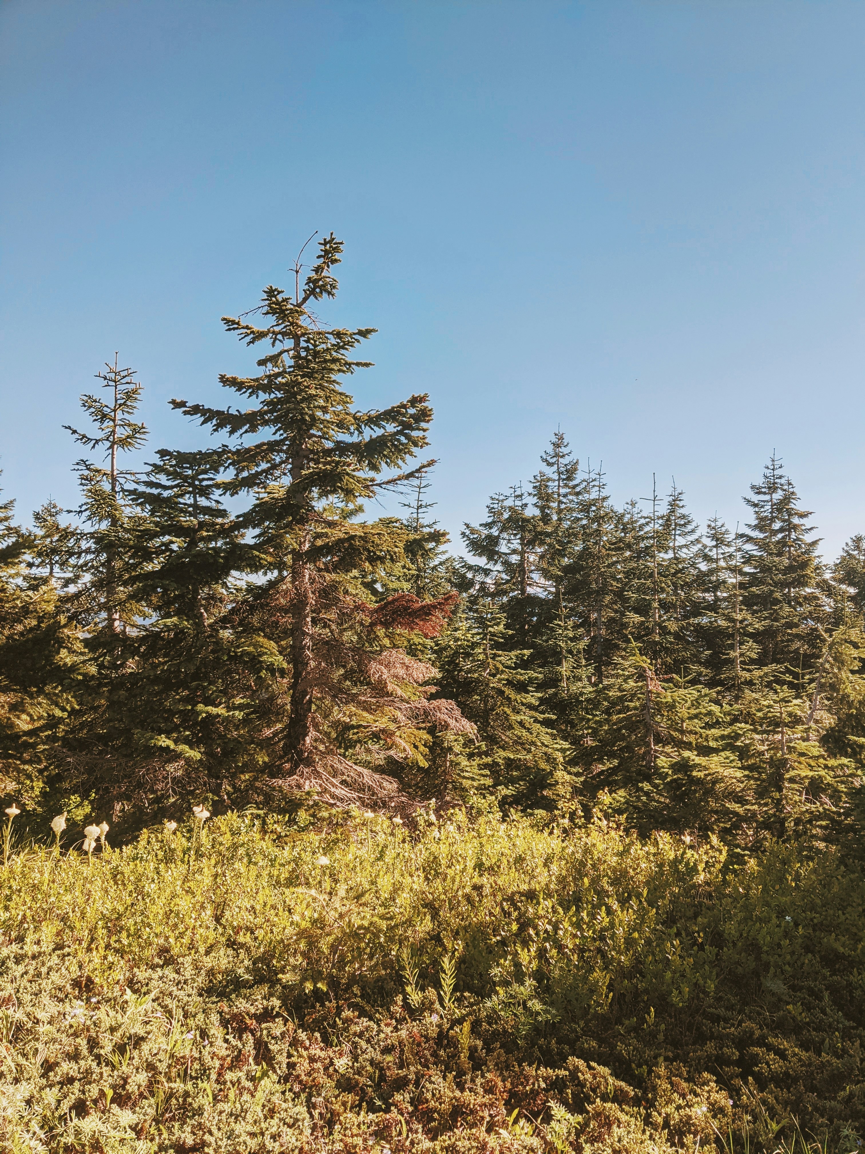 Photo by andrewwolff