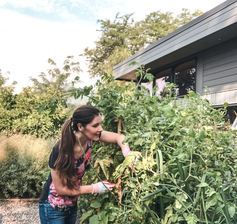 FoliaBound founder tending to plants in a well-established Lynchburg residential garden