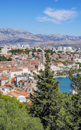 aerial view of city near body of water during daytime