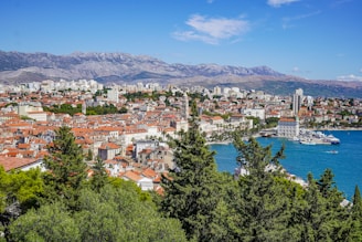 aerial view of city near body of water during daytime