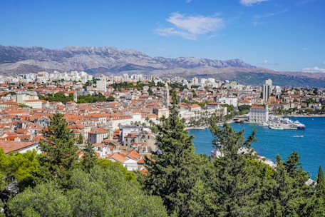 aerial view of city near body of water during daytime