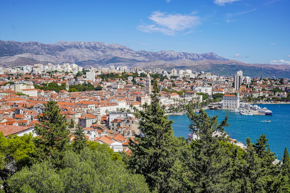 aerial view of city near body of water during daytime