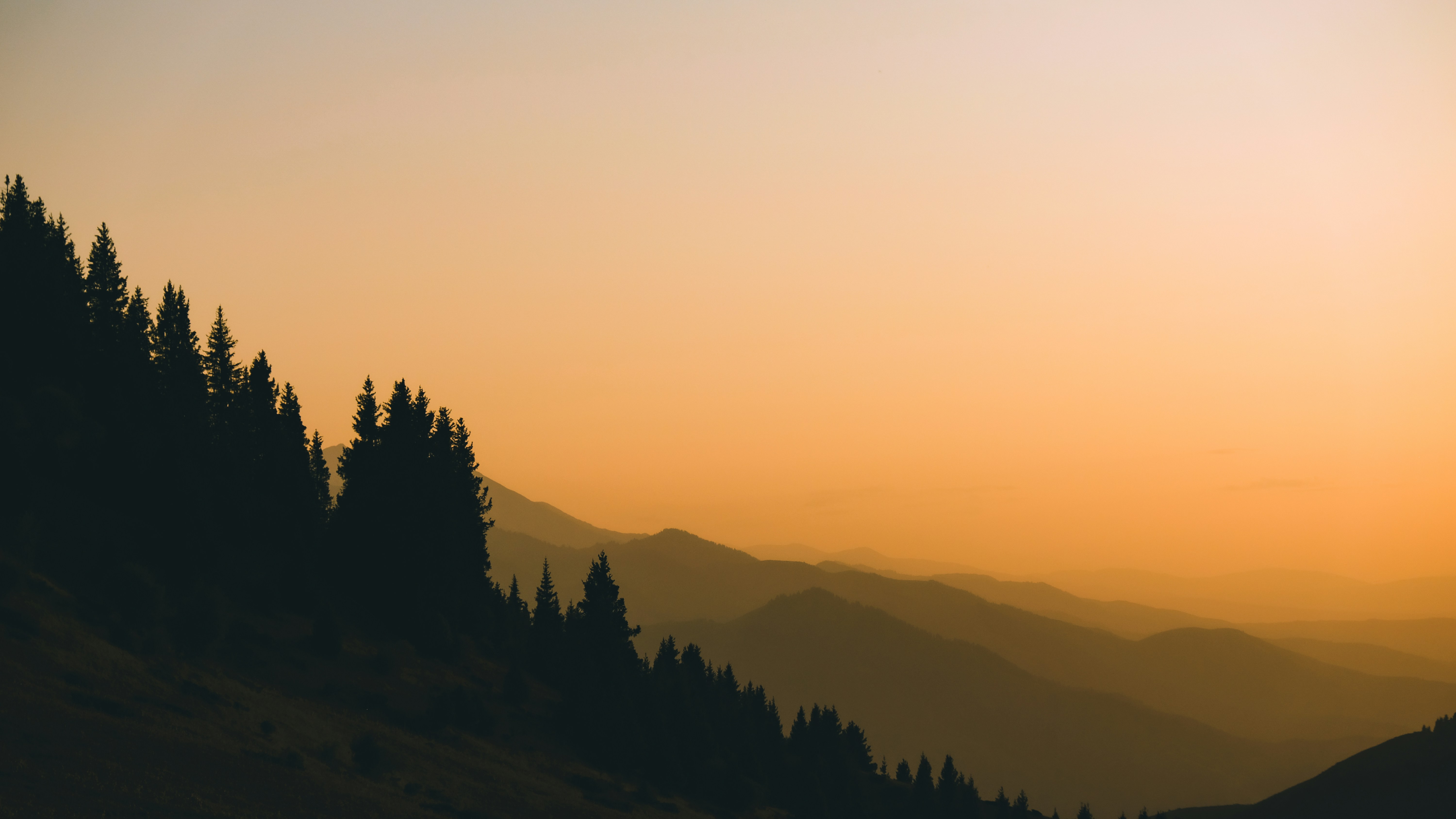 Photo by sumskoydmitry