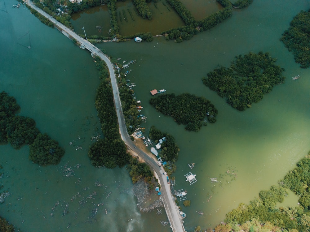 aerial view of road between green trees and body of water during daytime