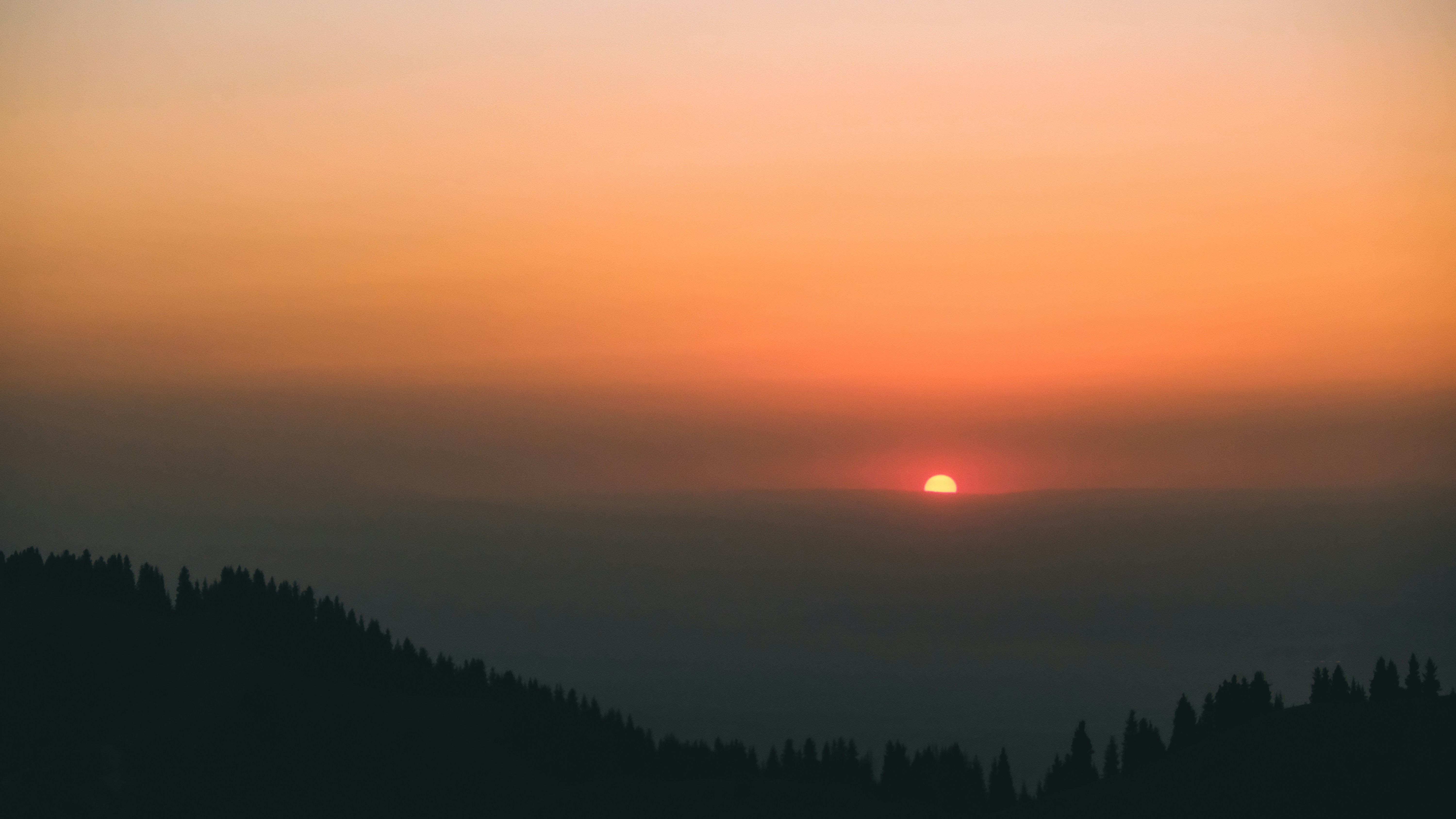 Photo by sumskoydmitry