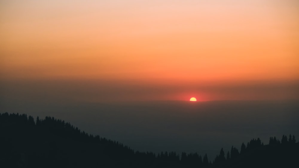 silhouette of trees during sunset