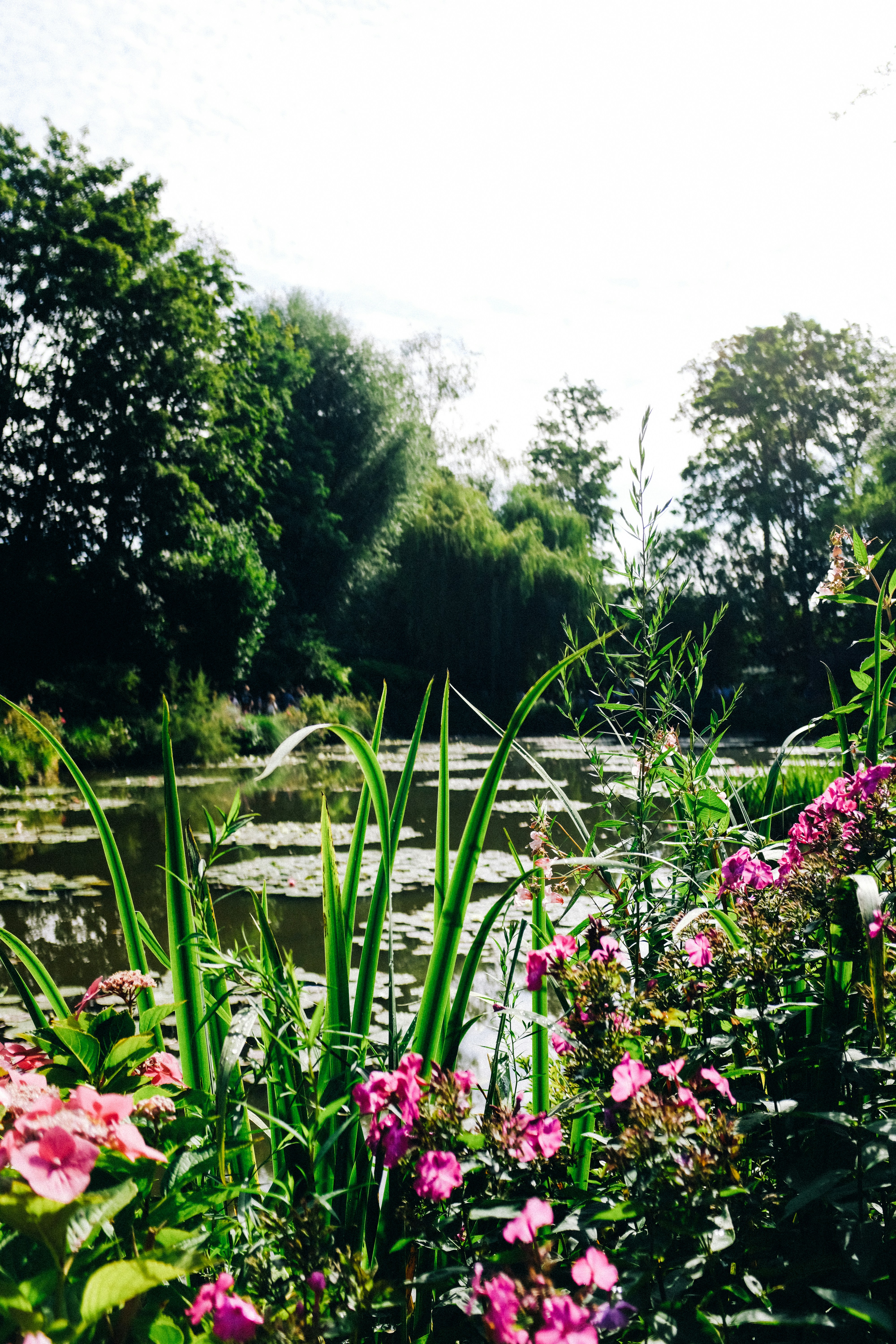 Photo by adrienolichon