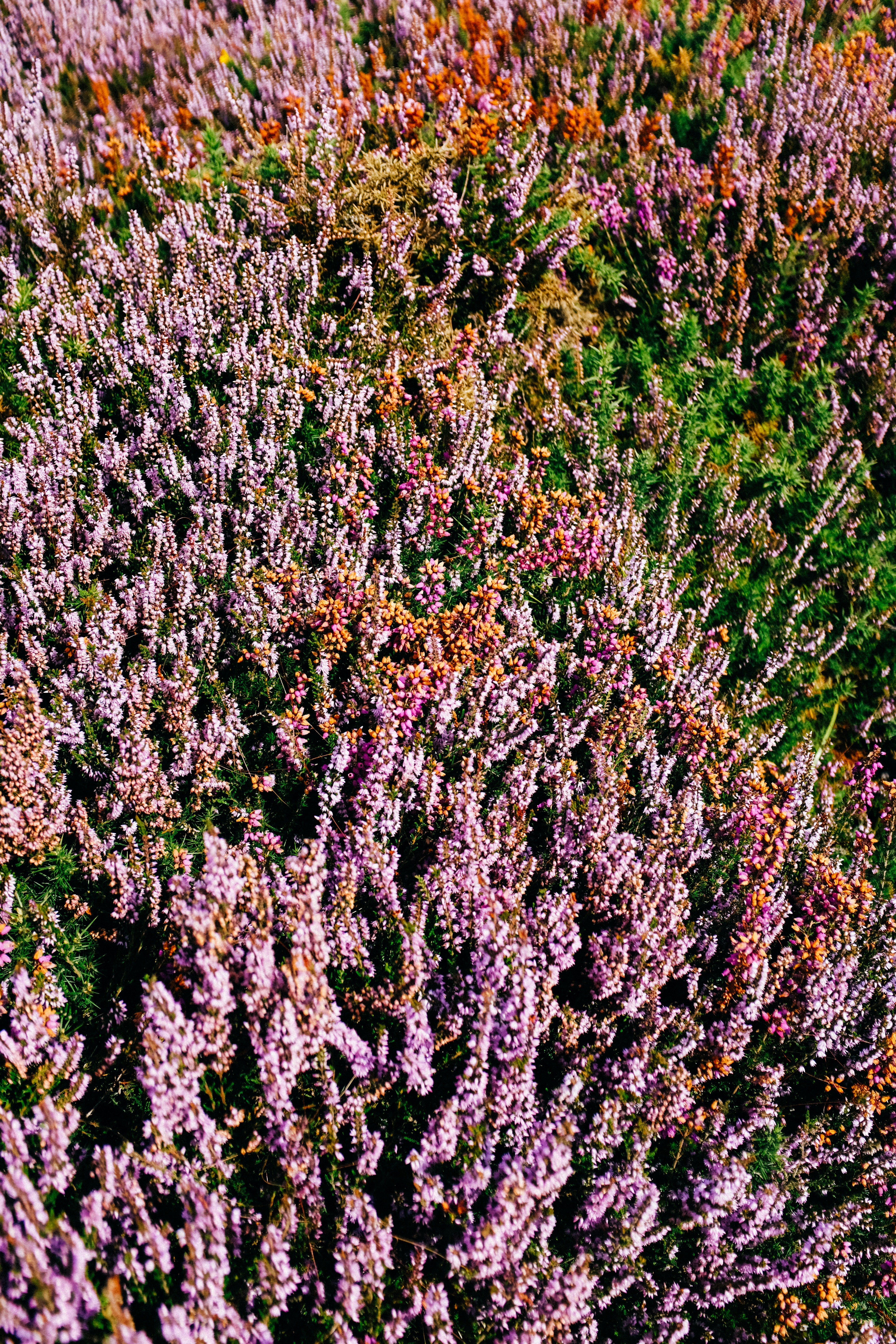 Photo by adrienolichon