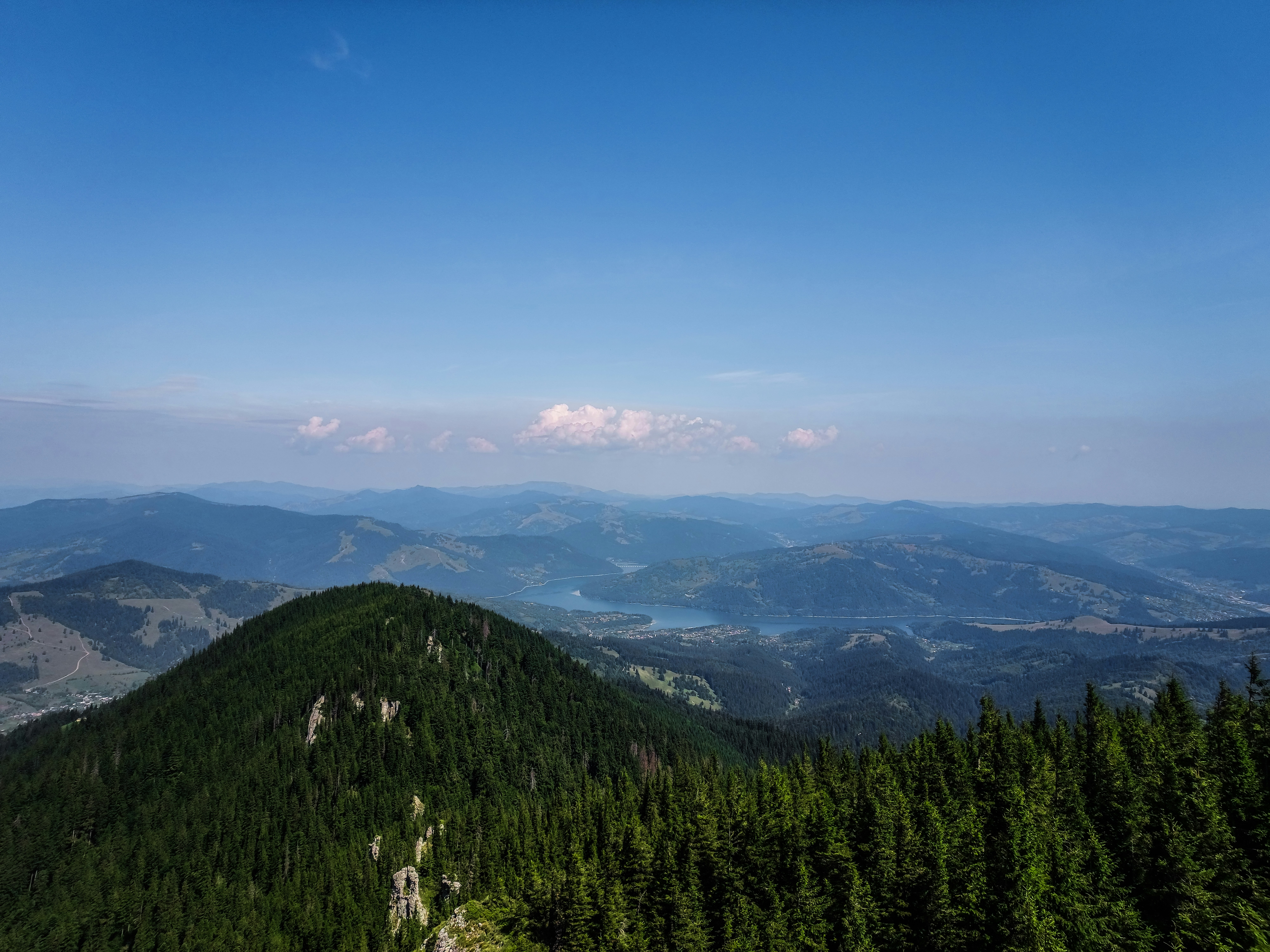 green trees on mountain under blue sky during daytime