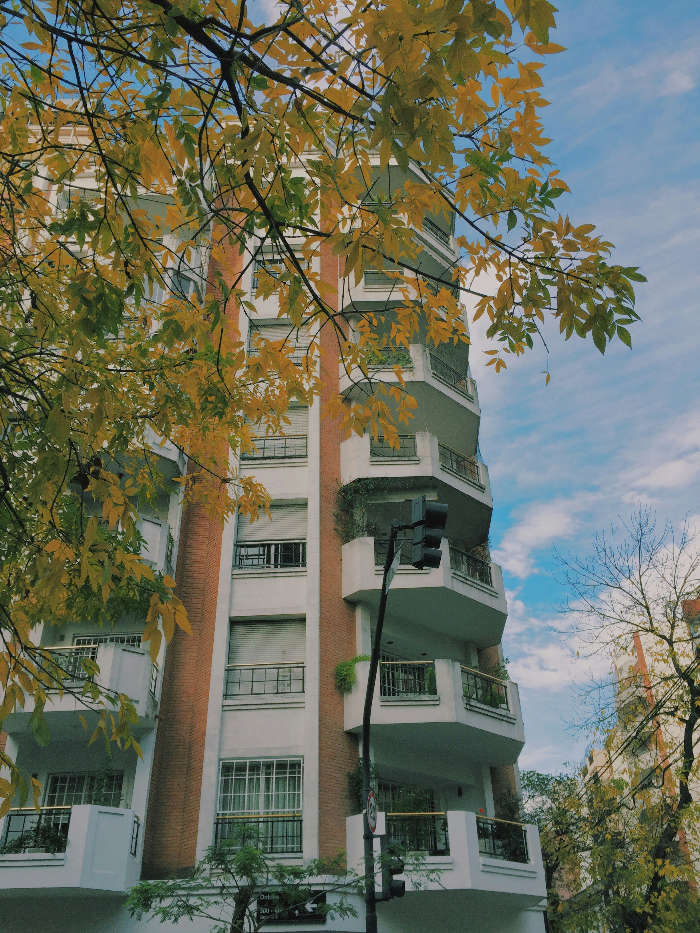 Photo by camivalenzuelaa