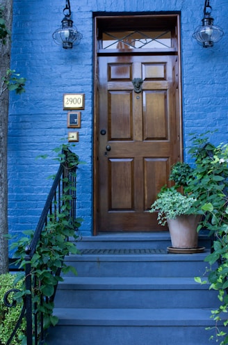 brown wooden door beside green plant