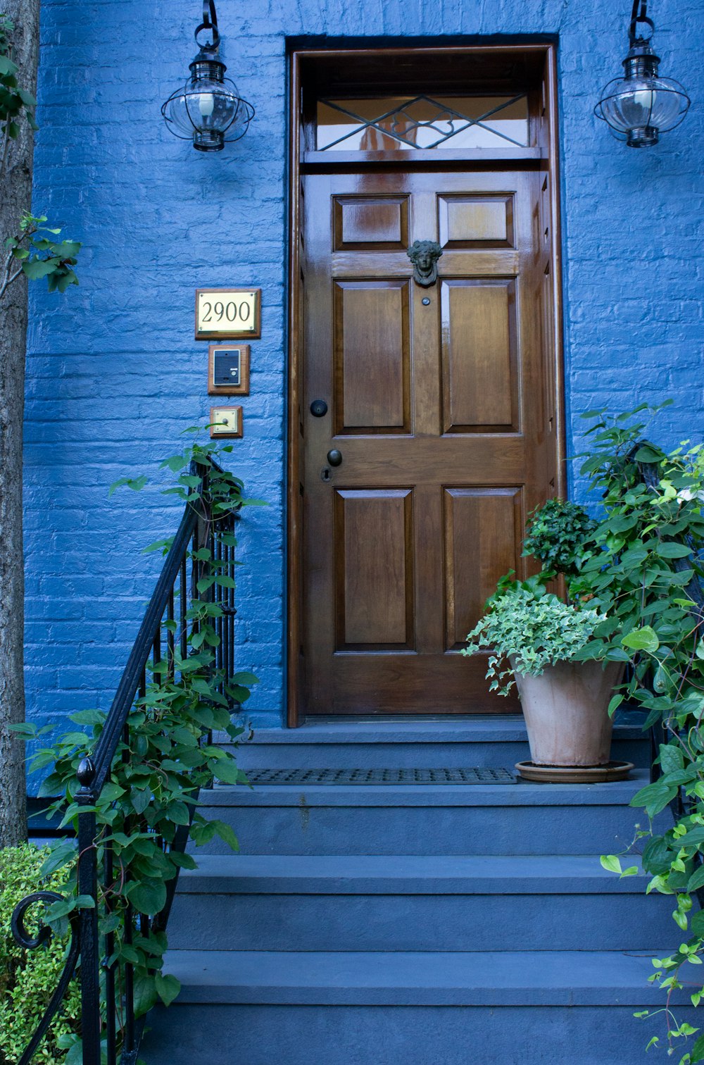緑の植物の横の茶色の木製のドア