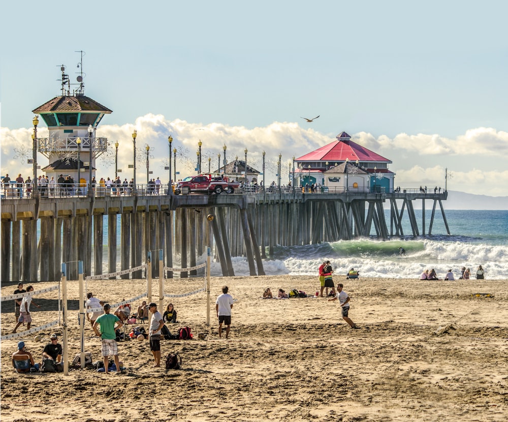 people on beach during daytime