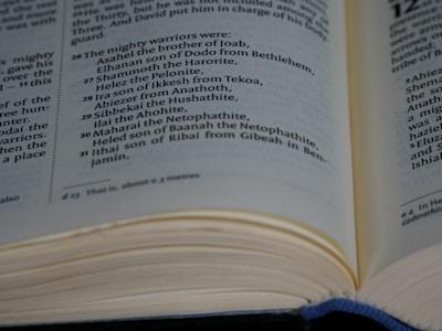 An open book displaying text in paragraph form, focusing on a list of names and descriptions. The page is slightly curved at the edge, suggesting the book is being held or is resting open naturally.
