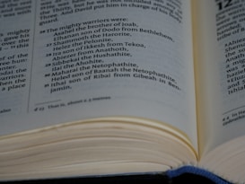 An open book displaying text in paragraph form, focusing on a list of names and descriptions. The page is slightly curved at the edge, suggesting the book is being held or is resting open naturally.