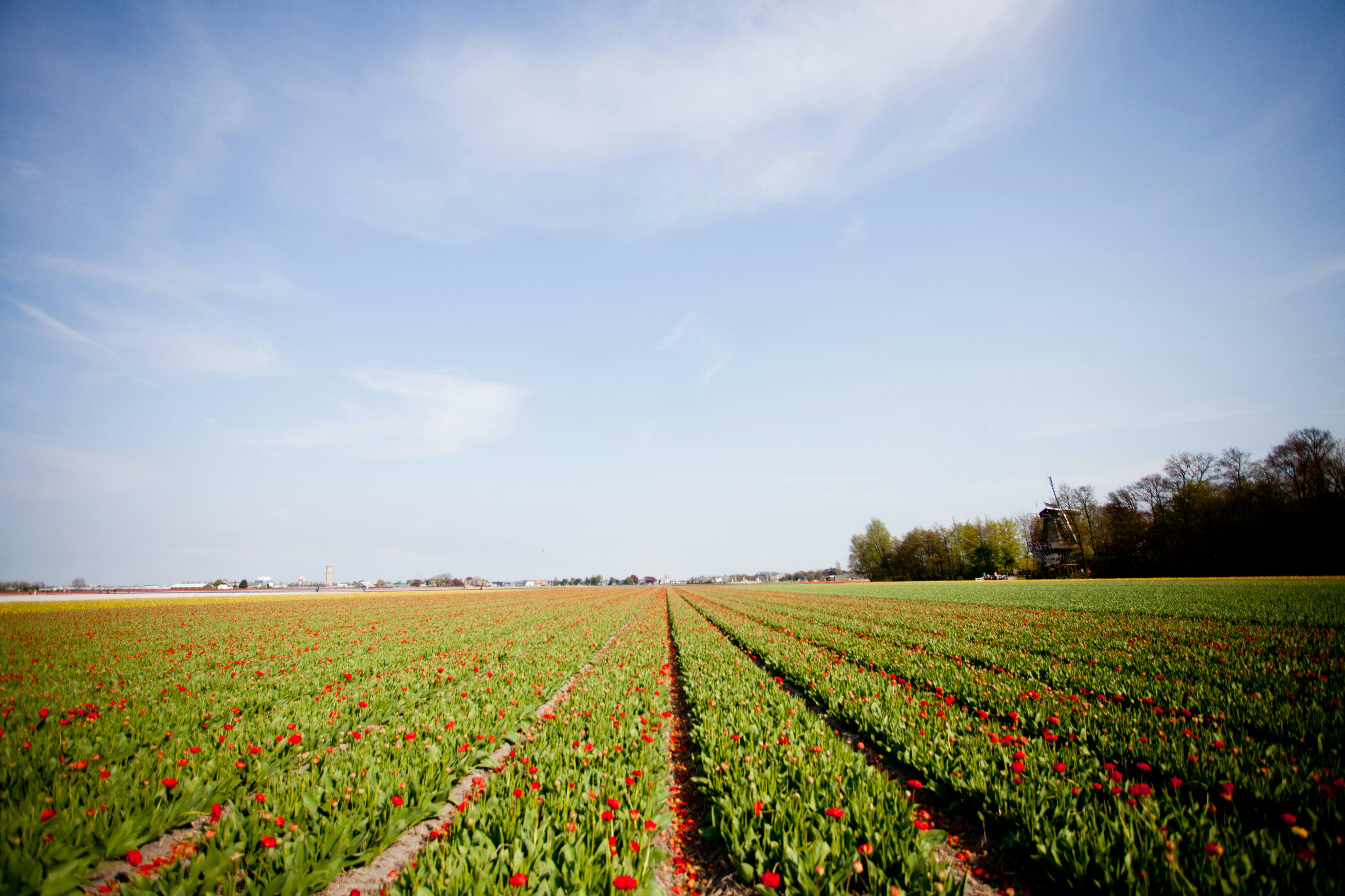 Photo by serg_bataev