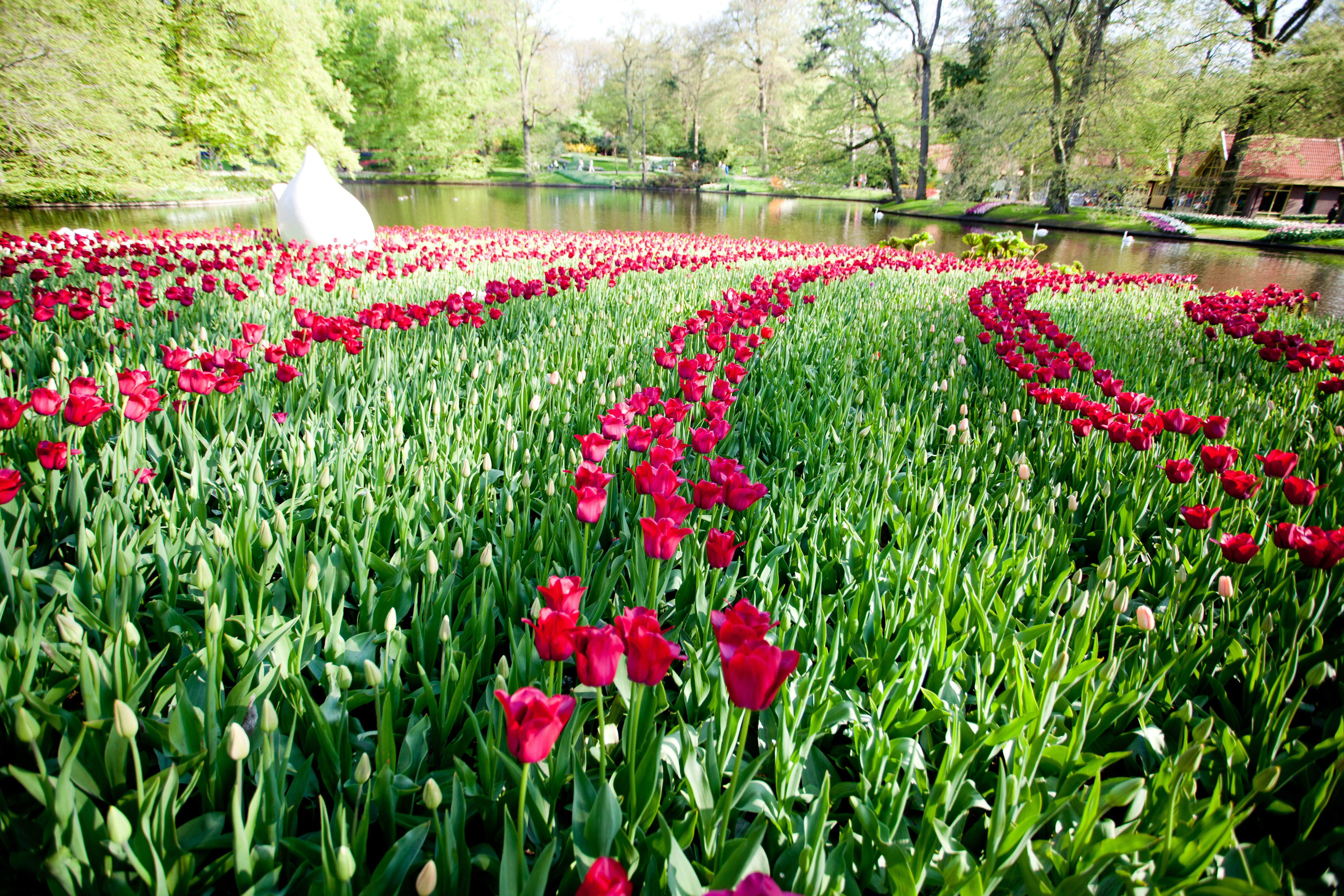 Photo by serg_bataev