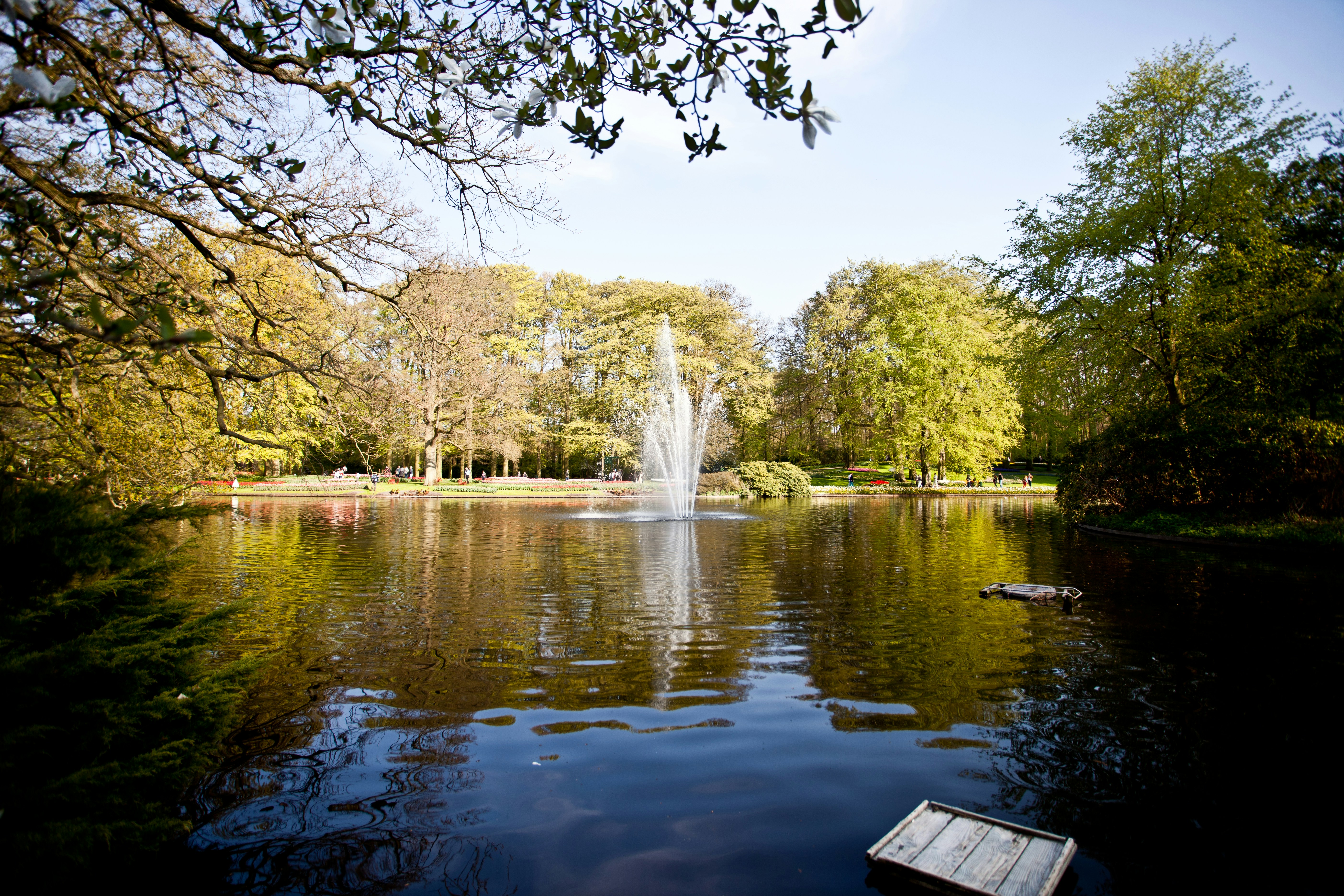 Photo by serg_bataev